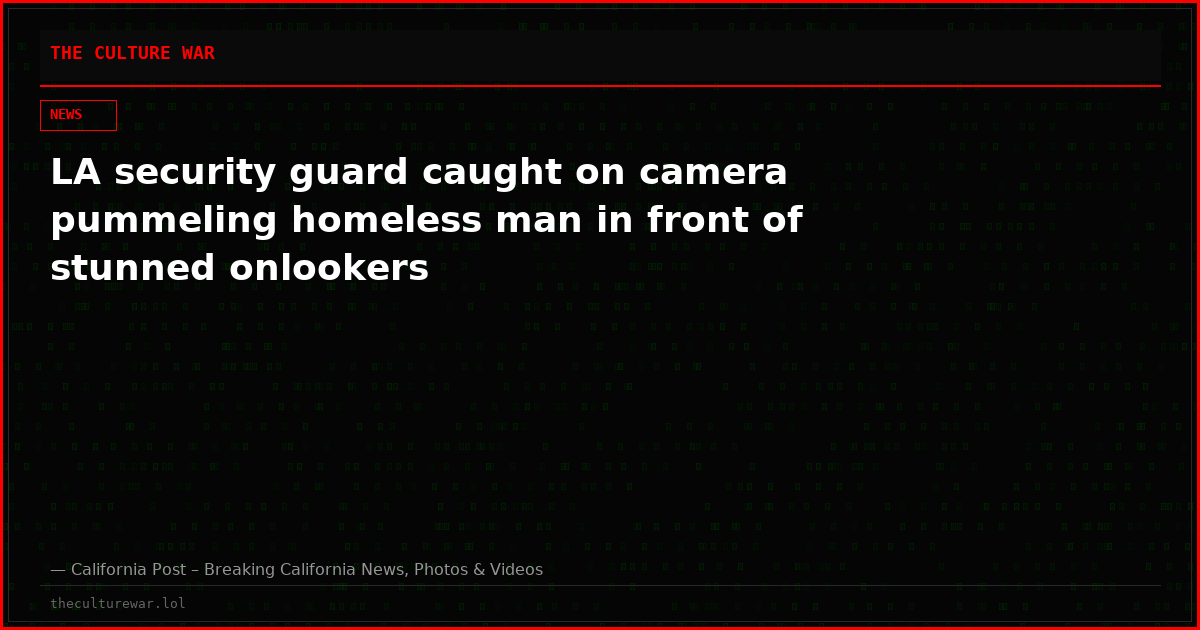 LA security guard caught on camera pummeling homeless man in front of stunned onlookers