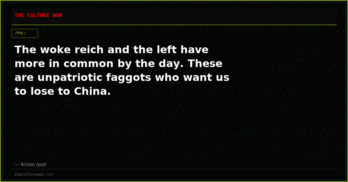 The woke reich and the left have more in common by the day. These are unpatriotic faggots who want us to lose to China.