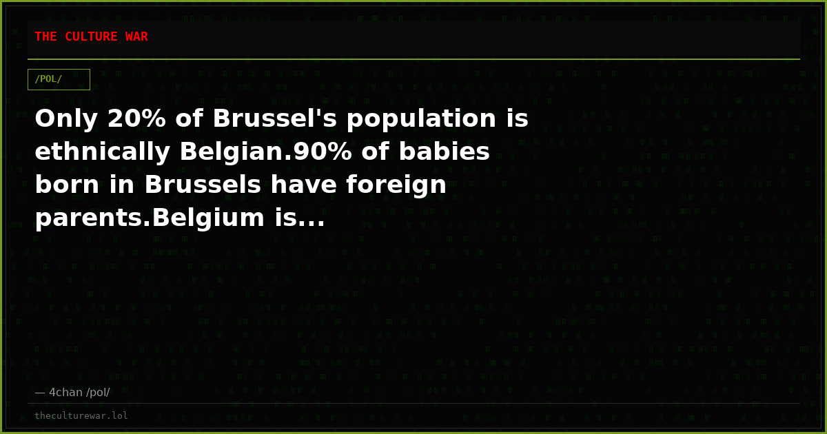 Only 20% of Brussel's population is ethnically Belgian.90% of babies born in Brussels have foreign parents.Belgium is...