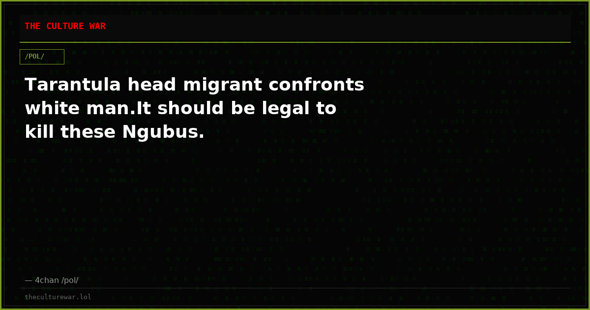 Tarantula head migrant confronts white man.It should be legal to kill these Ngubus.