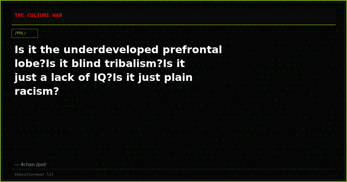 Is it the underdeveloped prefrontal lobe?Is it blind tribalism?Is it just a lack of IQ?Is it just plain racism?
