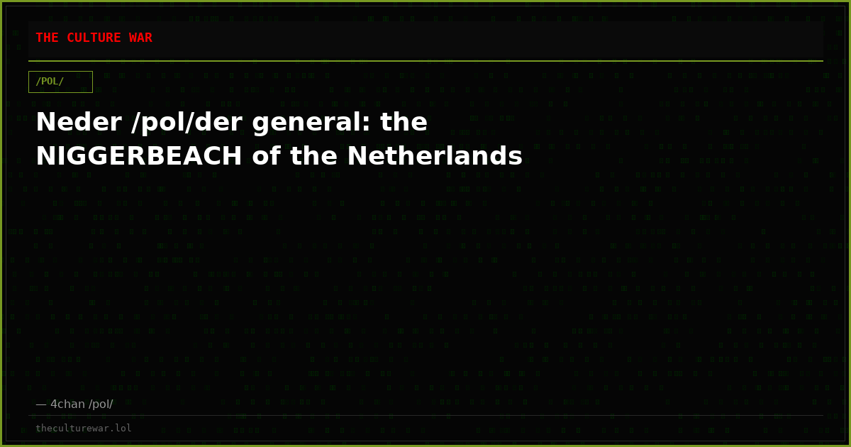 Neder /pol/der general: the NIGGERBEACH of the Netherlands