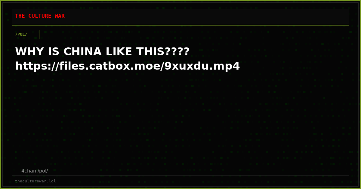 WHY IS CHINA LIKE THIS???? https://files.catbox.moe/9xuxdu.mp4