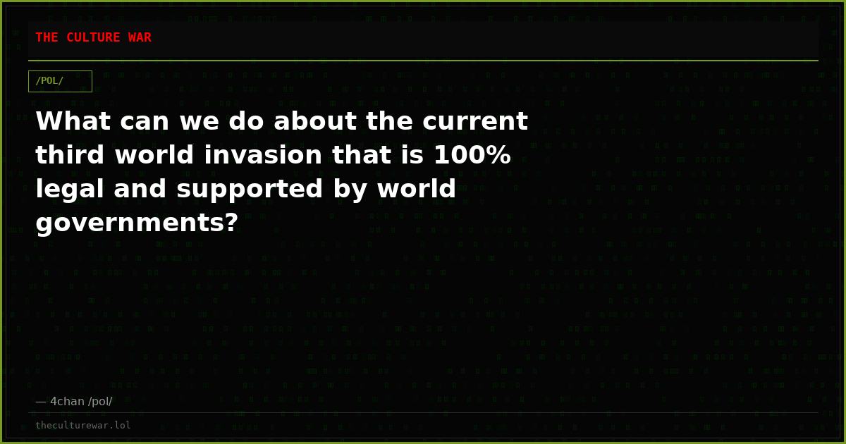 What can we do about the current third world invasion that is 100% legal and supported by world governments?