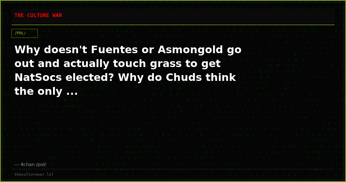 Why doesn't Fuentes or Asmongold go out and actually touch grass to get NatSocs elected? Why do Chuds think the only ...