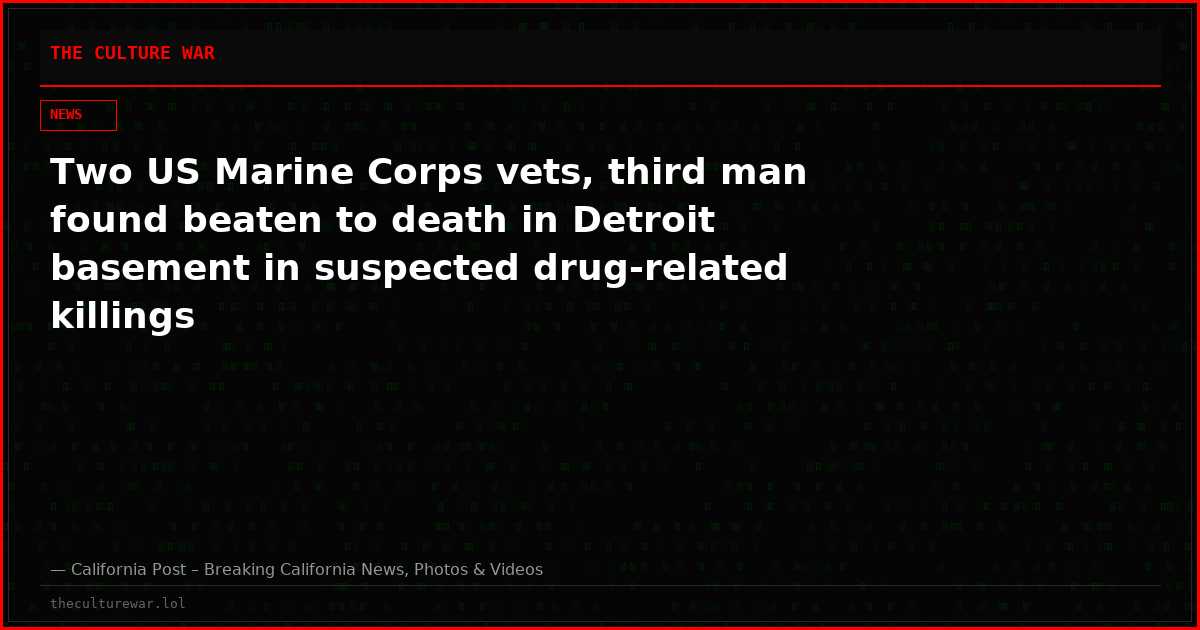 Two US Marine Corps vets, third man found beaten to death in Detroit basement in suspected drug-related killings