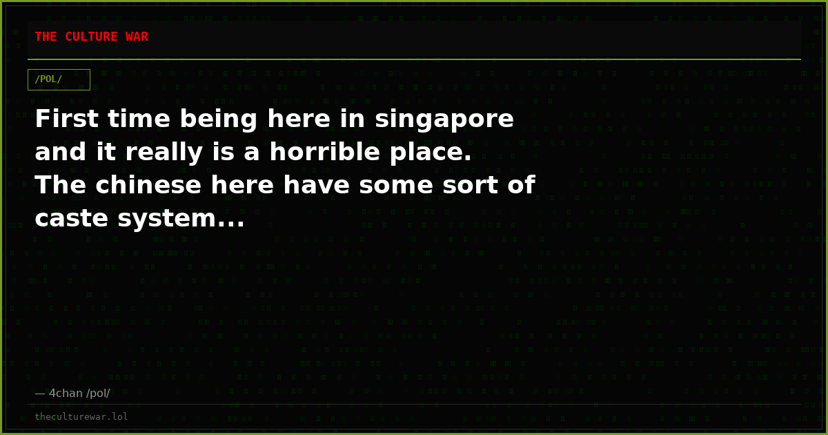 First time being here in singapore and it really is a horrible place. The chinese here have some sort of caste system...