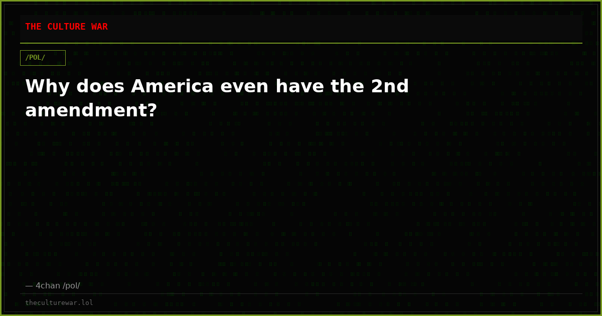 Why does America even have the 2nd amendment?