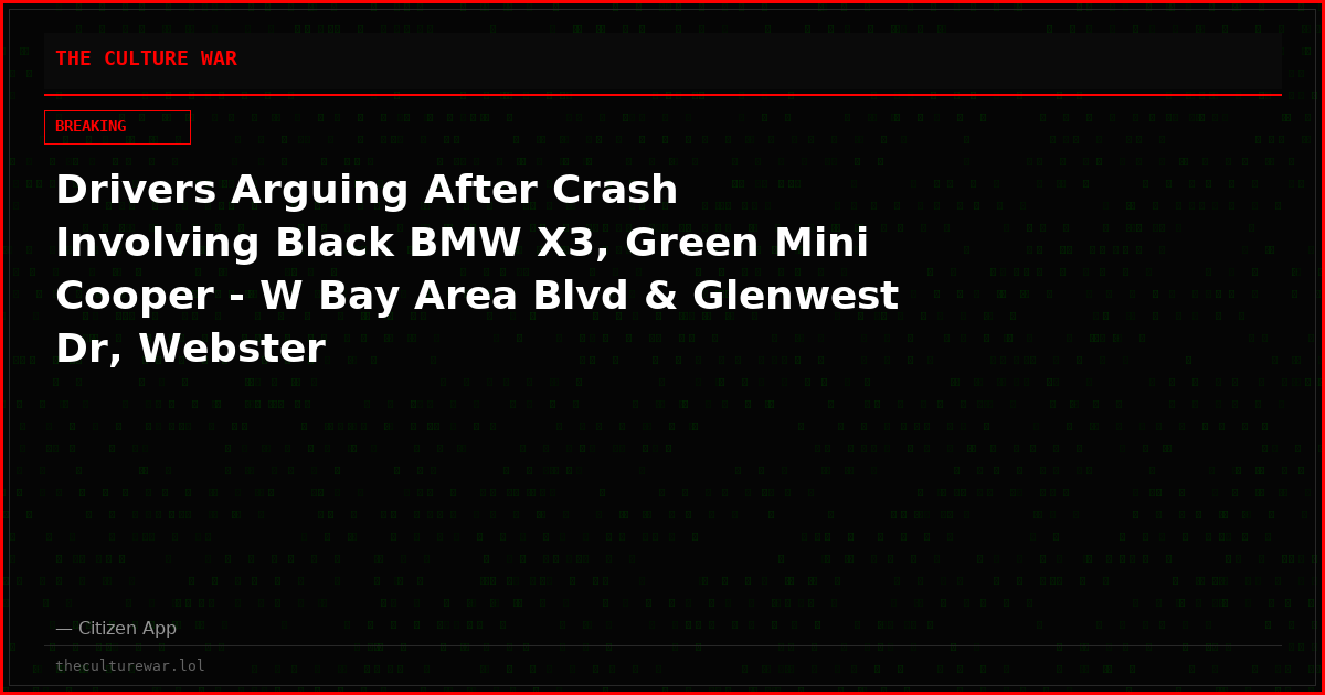 Drivers Arguing After Crash Involving Black BMW X3, Green Mini Cooper - W Bay Area Blvd & Glenwest Dr, Webster