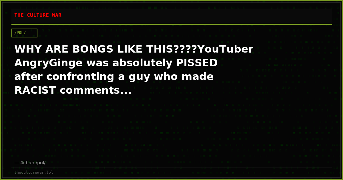 WHY ARE BONGS LIKE THIS????YouTuber AngryGinge was absolutely PISSED after confronting a guy who made RACIST comments...