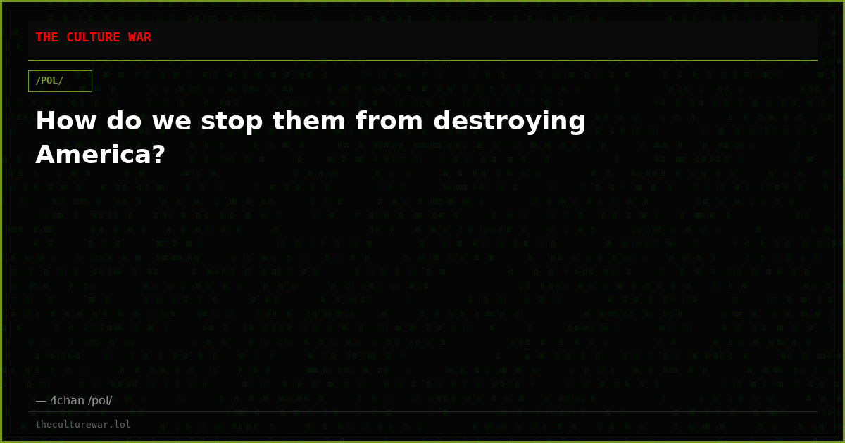 How do we stop them from destroying America?