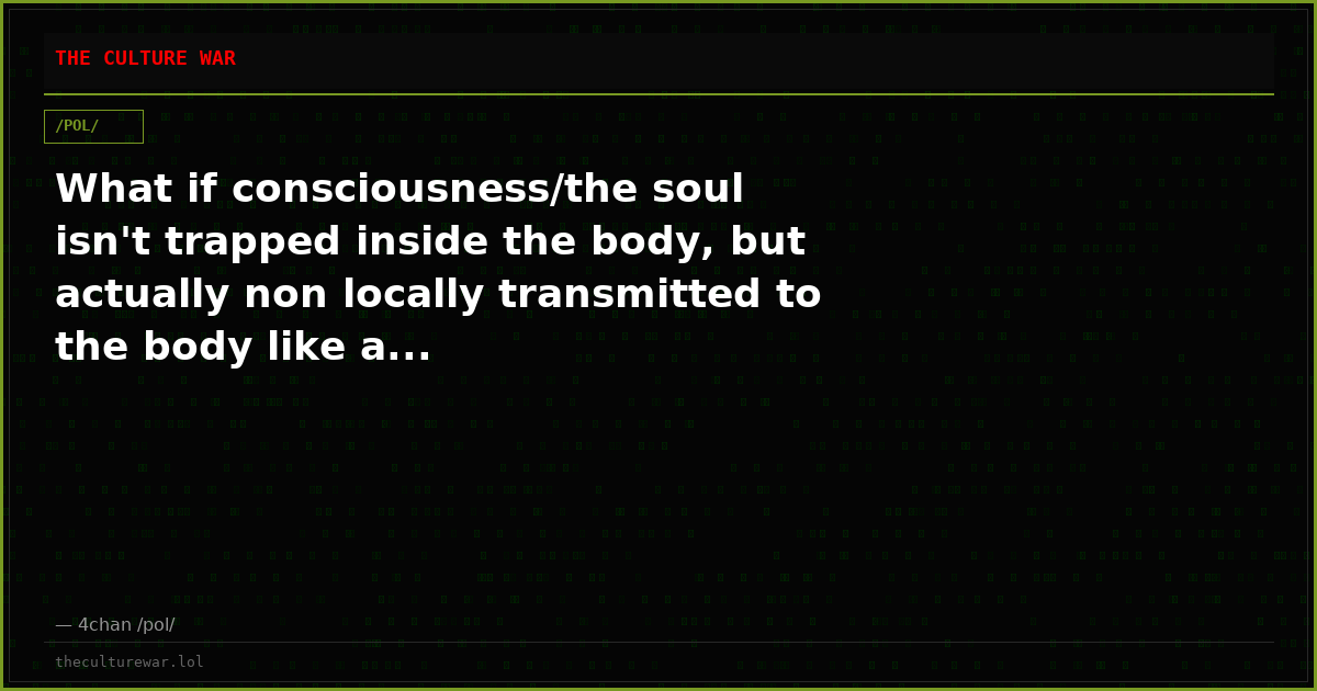 What if consciousness/the soul isn't trapped inside the body, but actually non locally transmitted to the body like a...