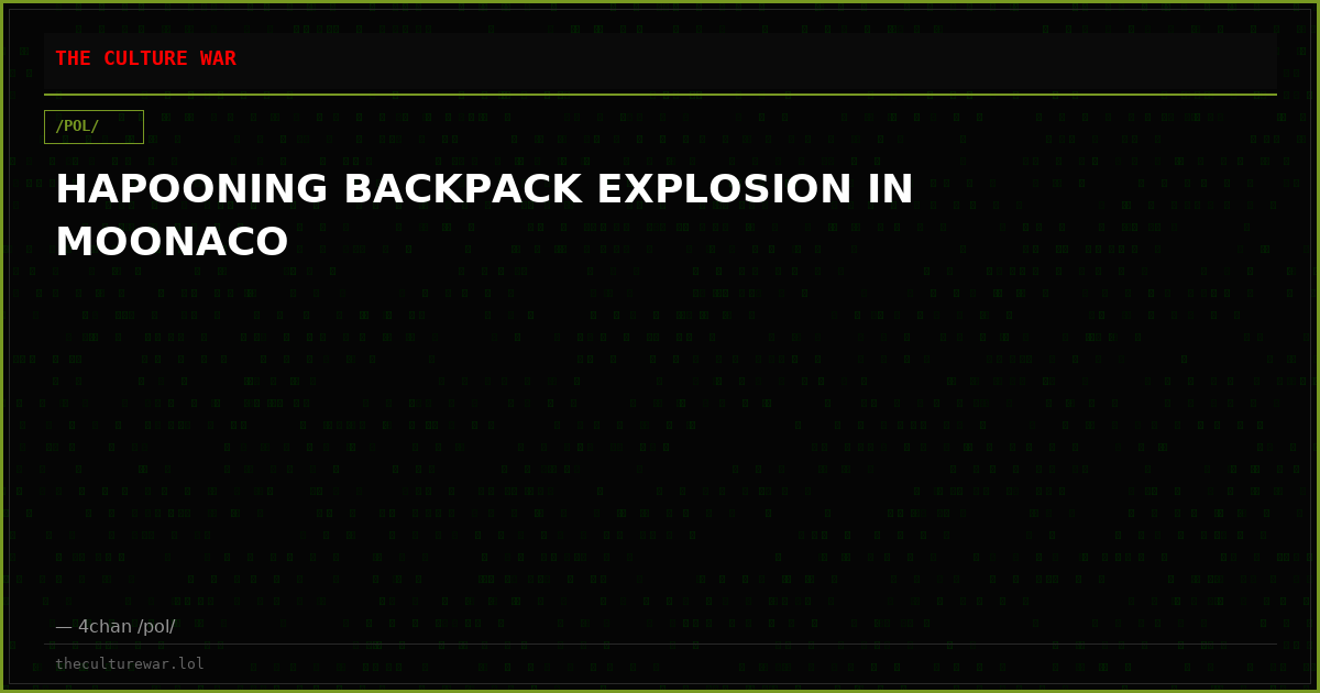 HAPOONING BACKPACK EXPLOSION IN MOONACO