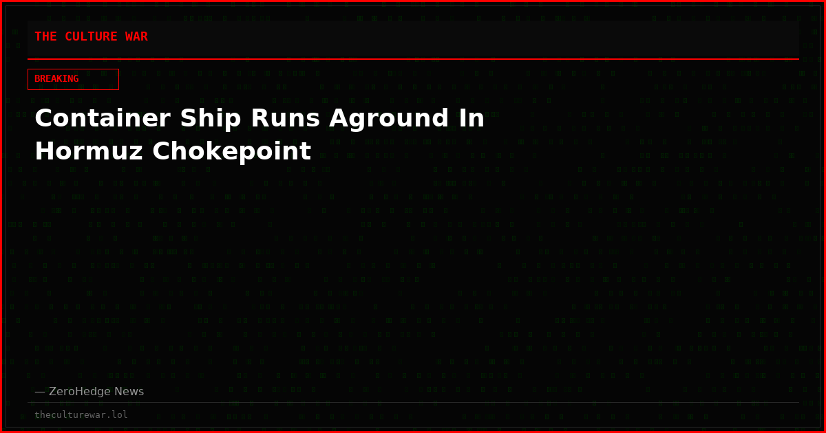 Container Ship Runs Aground In Hormuz Chokepoint
