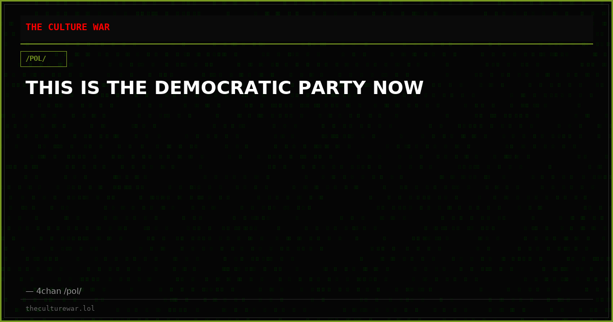 THIS IS THE DEMOCRATIC PARTY NOW