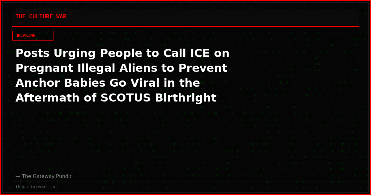 Posts Urging People to Call ICE on Pregnant Illegal Aliens to Prevent Anchor Babies Go Viral in the Aftermath of SCOTUS Birthright Decision