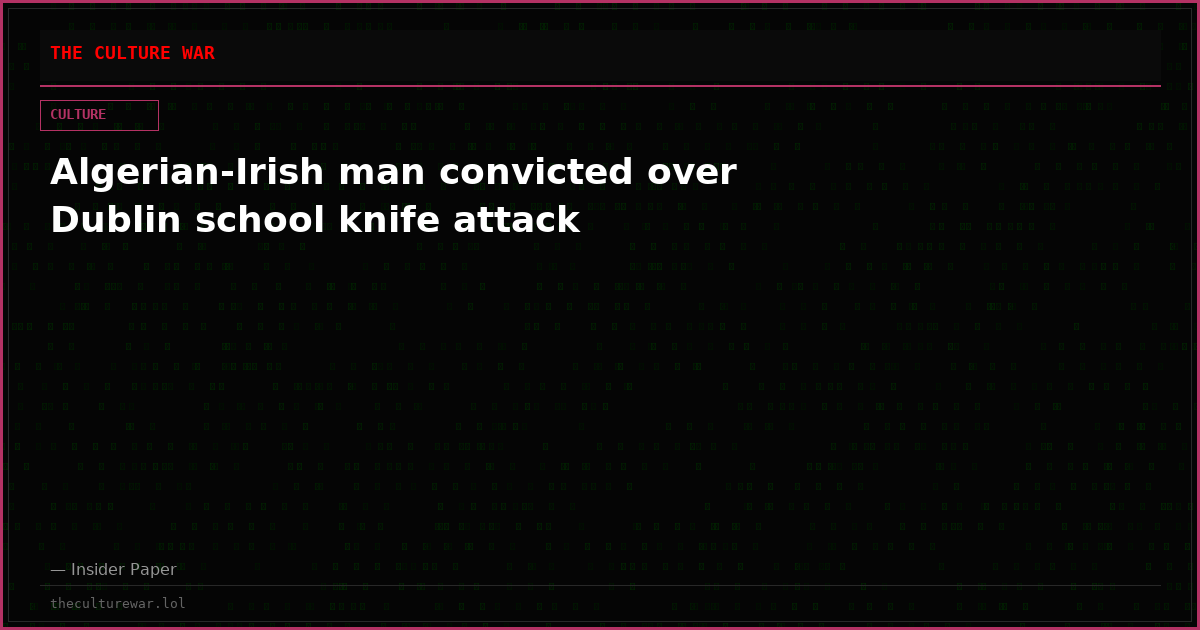 Algerian-Irish man convicted over Dublin school knife attack