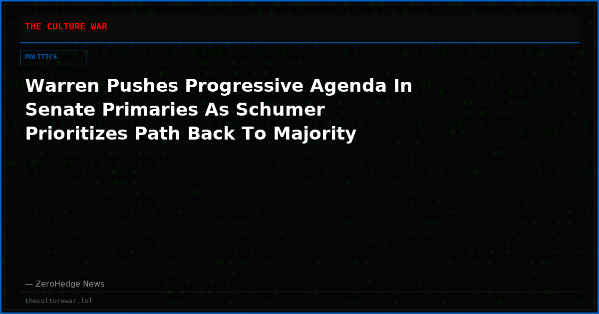 Warren Pushes Progressive Agenda In Senate Primaries As Schumer Prioritizes Path Back To Majority