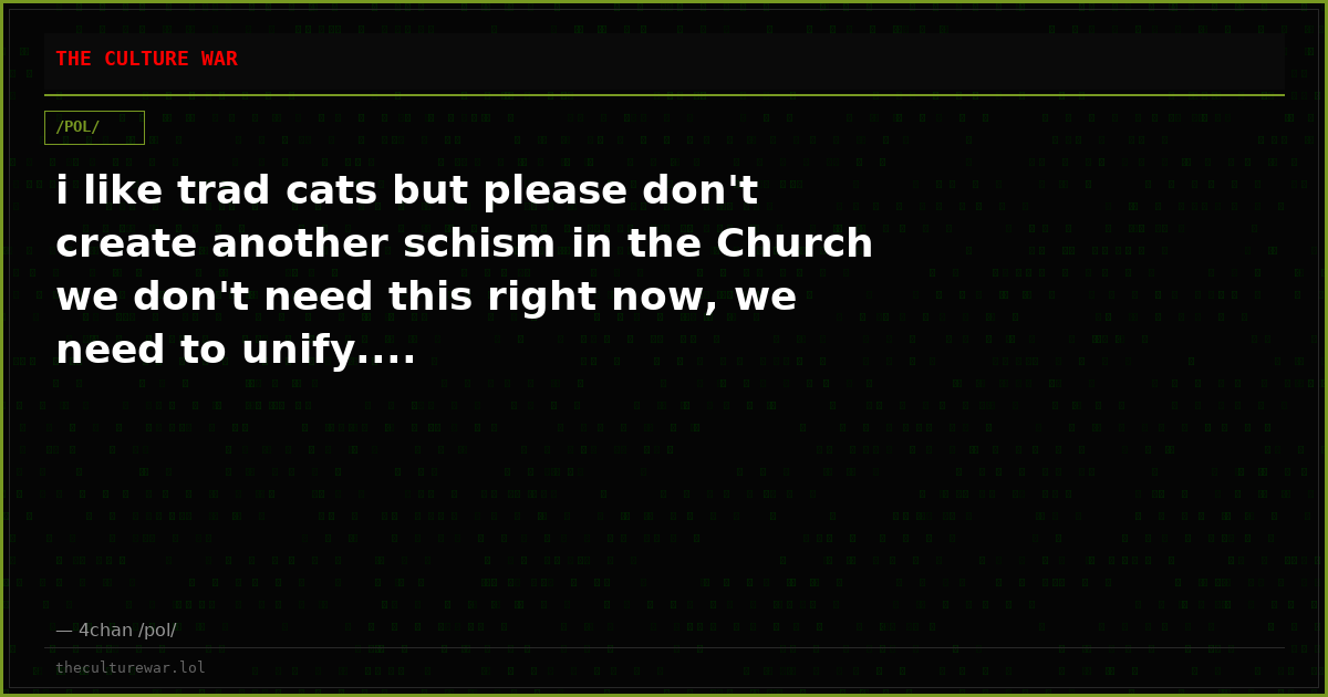 i like trad cats but please don't create another schism in the Church we don't need this right now, we need to unify....