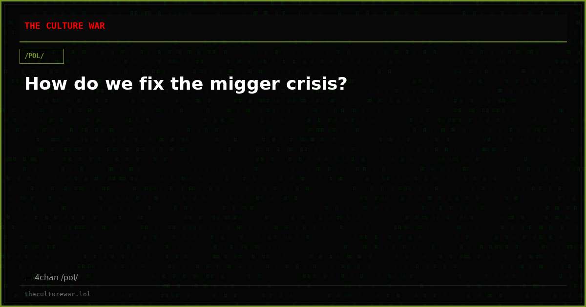 How do we fix the migger crisis?