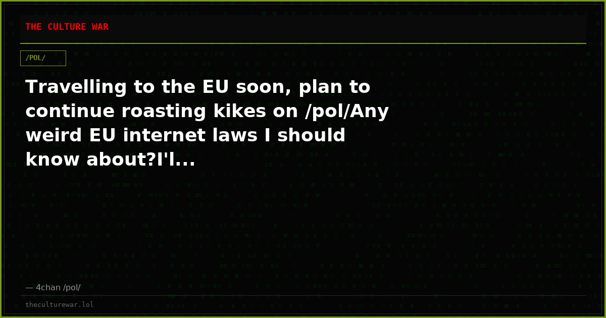 Travelling to the EU soon, plan to continue roasting kikes on /pol/Any weird EU internet laws I should know about?I'l...
