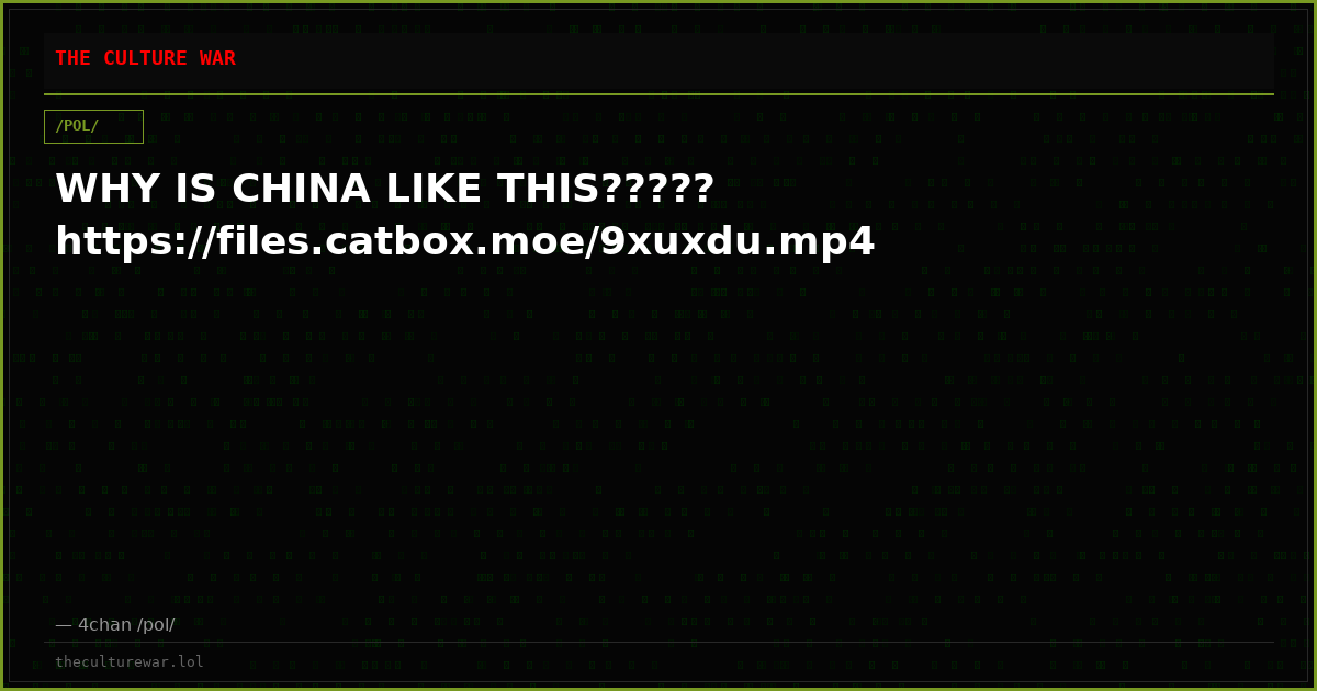 WHY IS CHINA LIKE THIS????? https://files.catbox.moe/9xuxdu.mp4