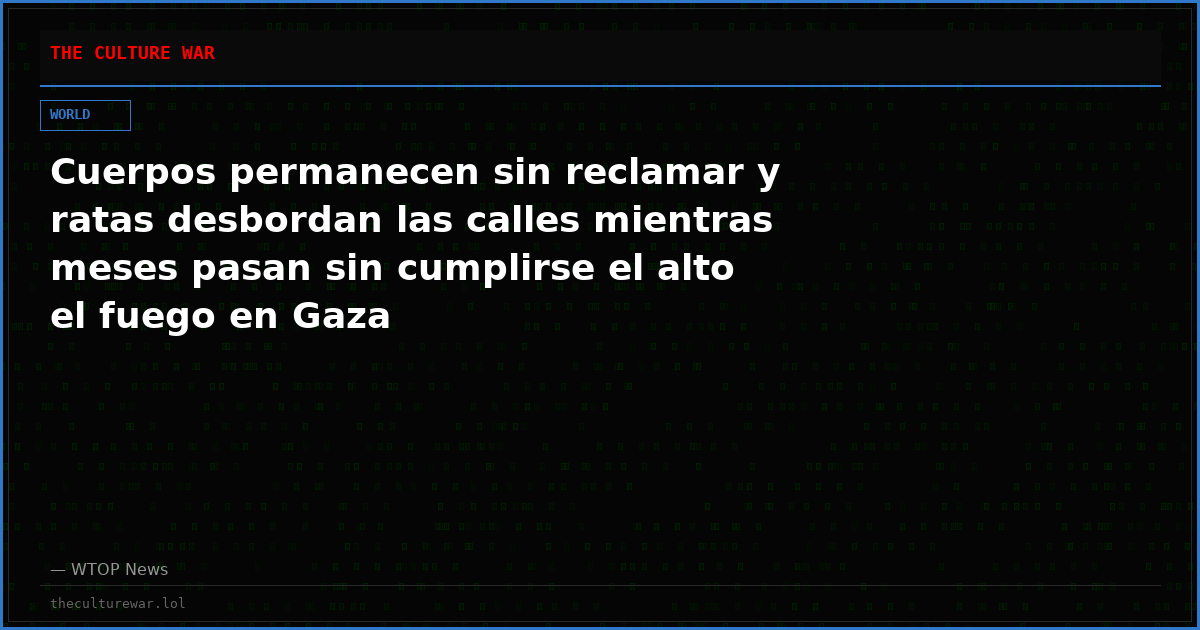 Cuerpos permanecen sin reclamar y ratas desbordan las calles mientras meses pasan sin cumplirse el alto el fuego en Gaza