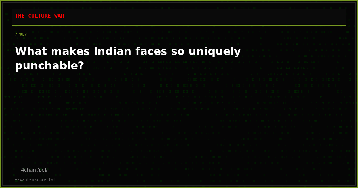 What makes Indian faces so uniquely punchable?