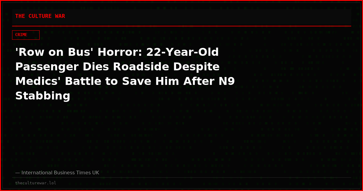 'Row on Bus' Horror: 22-Year-Old Passenger Dies Roadside Despite Medics' Battle to Save Him After N9 Stabbing