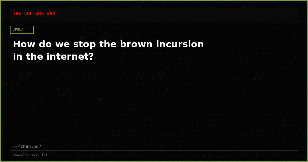 How do we stop the brown incursion in the internet?