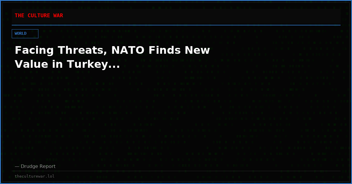 Facing Threats, NATO Finds New Value in Turkey...