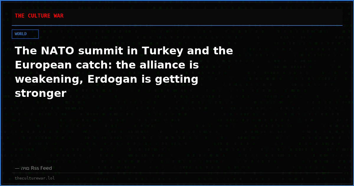 The NATO summit in Turkey and the European catch: the alliance is weakening, Erdogan is getting stronger