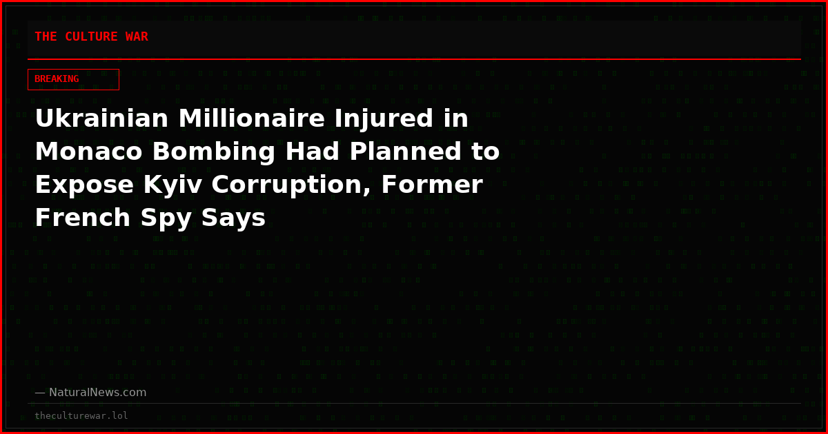 Ukrainian Millionaire Injured in Monaco Bombing Had Planned to Expose Kyiv Corruption, Former French Spy Says