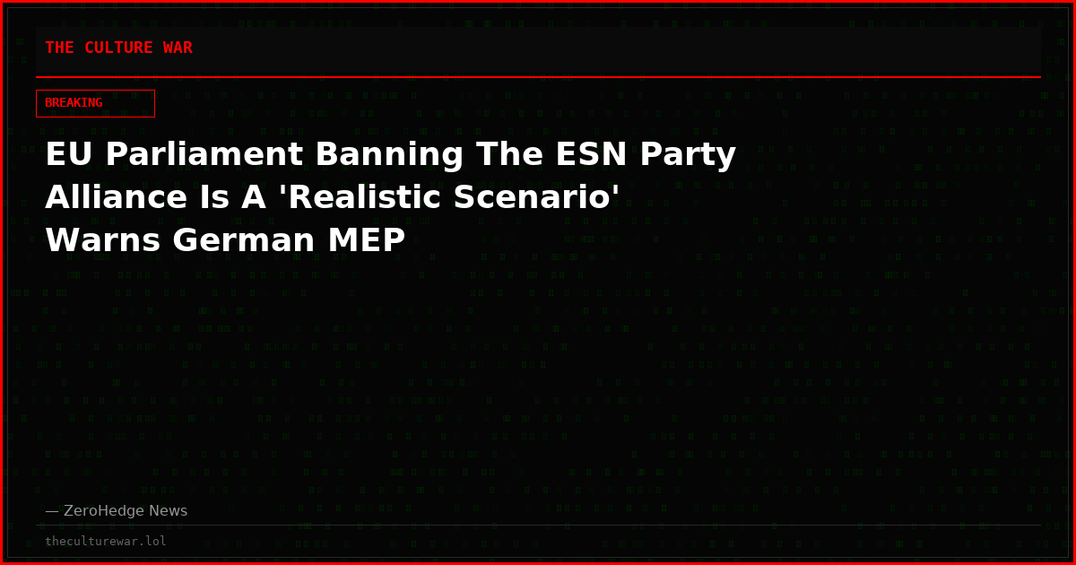 EU Parliament Banning The ESN Party Alliance Is A 'Realistic Scenario' Warns German MEP