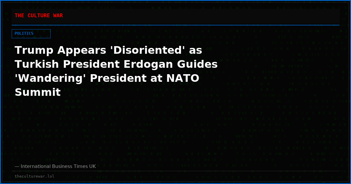 Trump Appears 'Disoriented' as Turkish President Erdogan Guides 'Wandering' President at NATO Summit