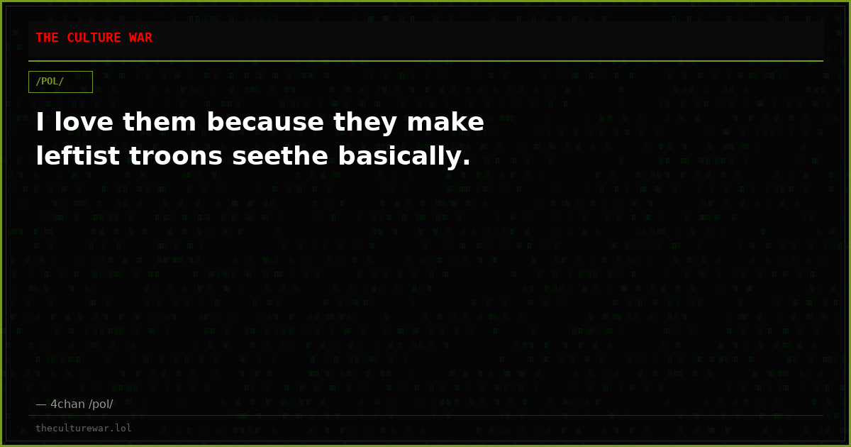 I love them because they make leftist troons seethe basically.