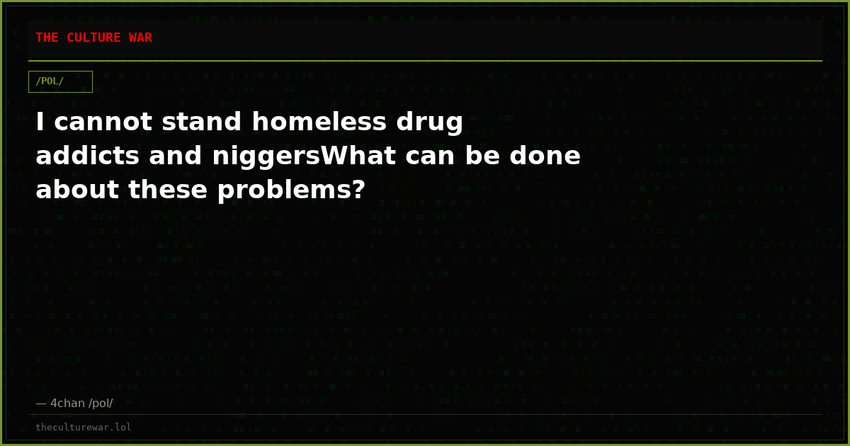 I cannot stand homeless drug addicts and niggersWhat can be done about these problems?