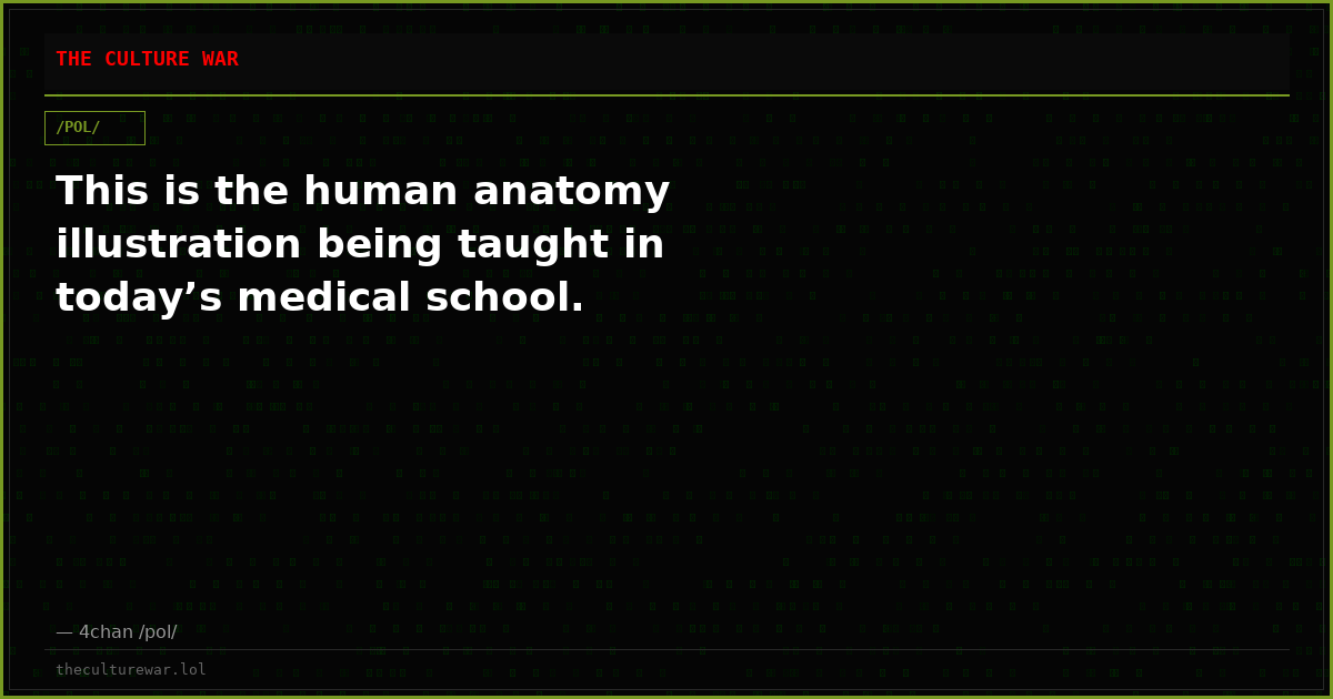 This is the human anatomy illustration being taught in today’s medical school.