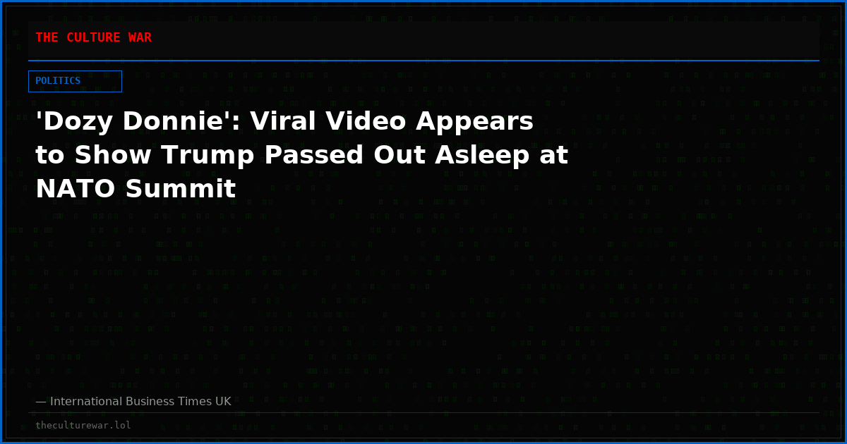 'Dozy Donnie': Viral Video Appears to Show Trump Passed Out Asleep at NATO Summit