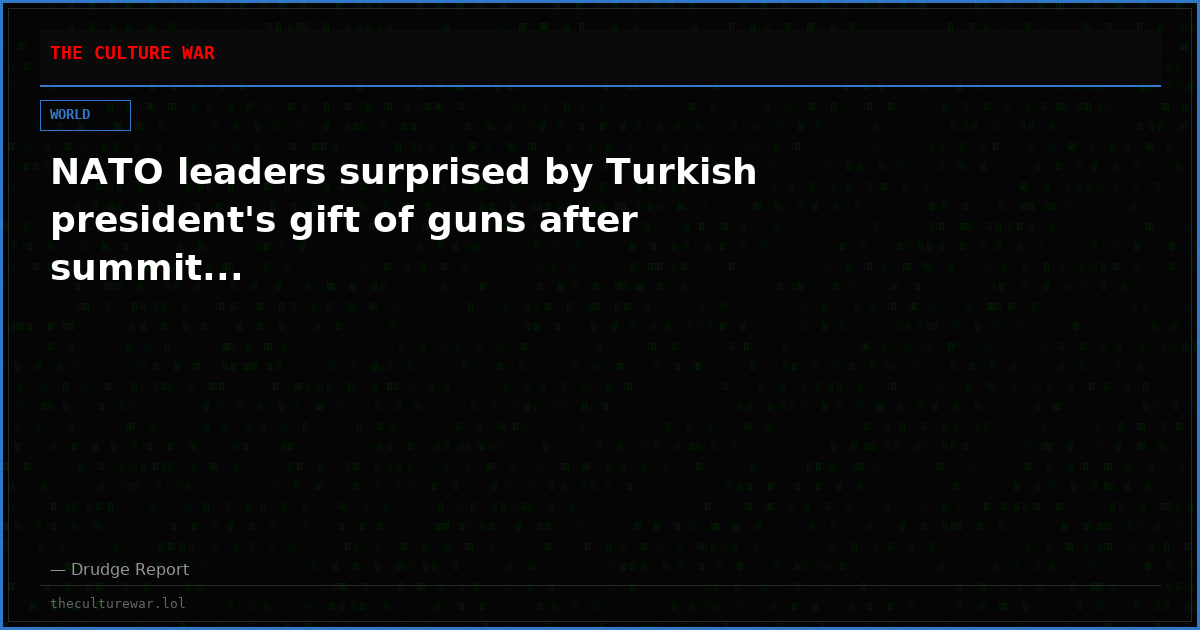 NATO leaders surprised by Turkish president's gift of guns after summit...