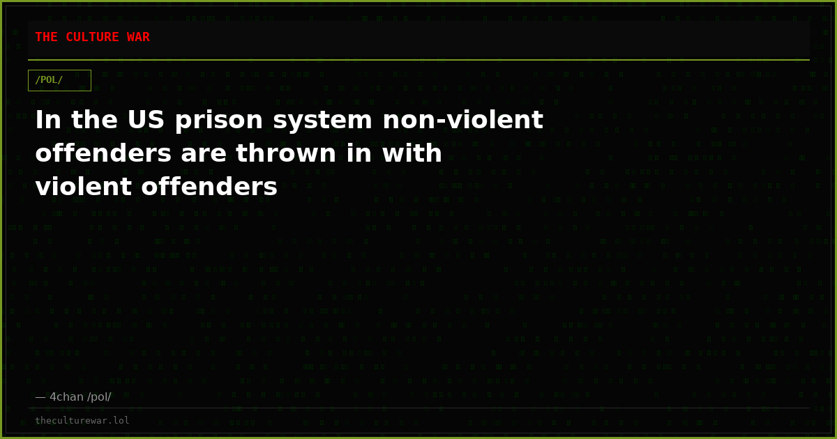 In the US prison system non-violent offenders are thrown in with violent offenders