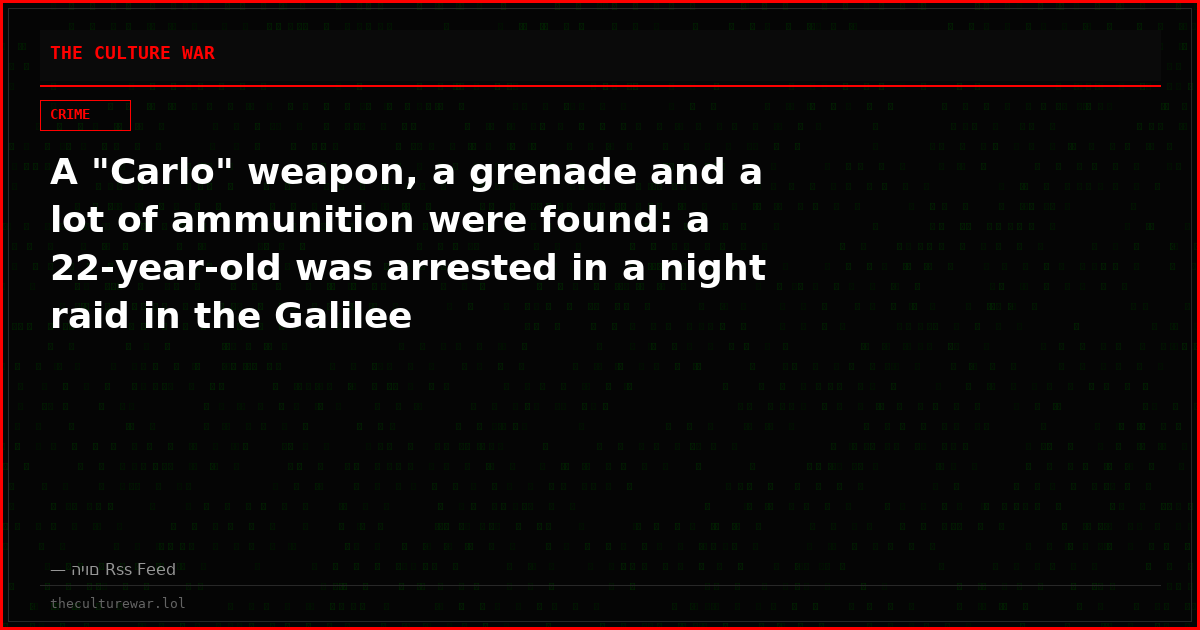 A "Carlo" weapon, a grenade and a lot of ammunition were found: a 22-year-old was arrested in a night raid in the Galilee