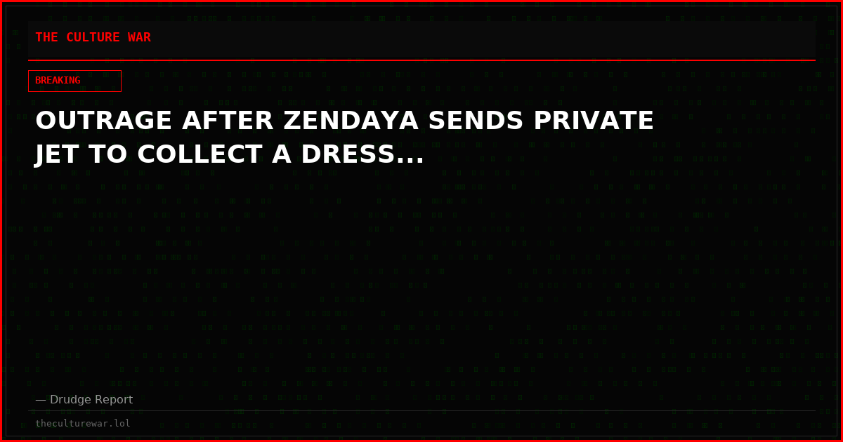 OUTRAGE AFTER ZENDAYA SENDS PRIVATE JET TO COLLECT A DRESS...