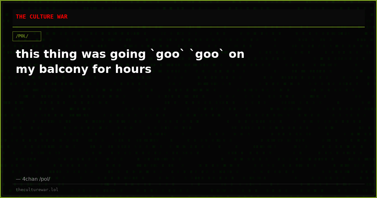this thing was going `goo` `goo` on my balcony for hours