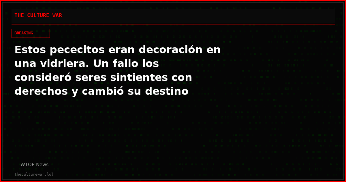 Estos pececitos eran decoración en una vidriera. Un fallo los consideró seres sintientes con derechos y cambió su destino