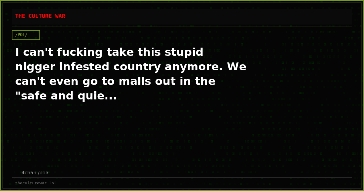 I can't fucking take this stupid nigger infested country anymore. We can't even go to malls out in the "safe and quie...