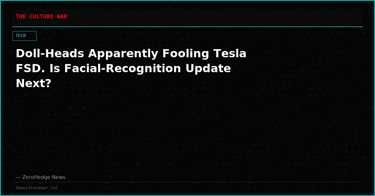 Doll-Heads Apparently Fooling Tesla FSD. Is Facial-Recognition Update Next?