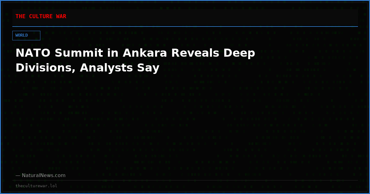 NATO Summit in Ankara Reveals Deep Divisions, Analysts Say