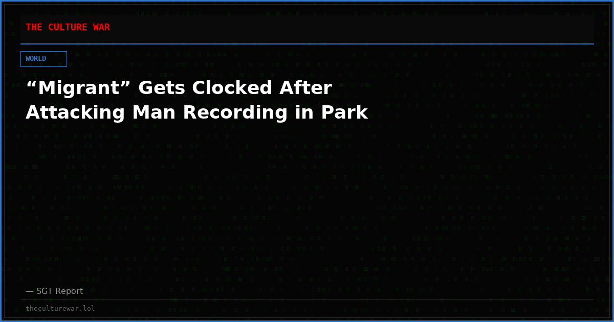 “Migrant” Gets Clocked After Attacking Man Recording in Park
