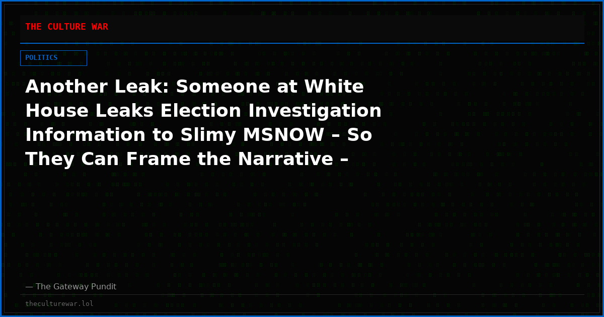 Another Leak: Someone at White House Leaks Election Investigation Information to Slimy MSNOW – So They Can Frame the Narrative – Steve Bannon Goes Off